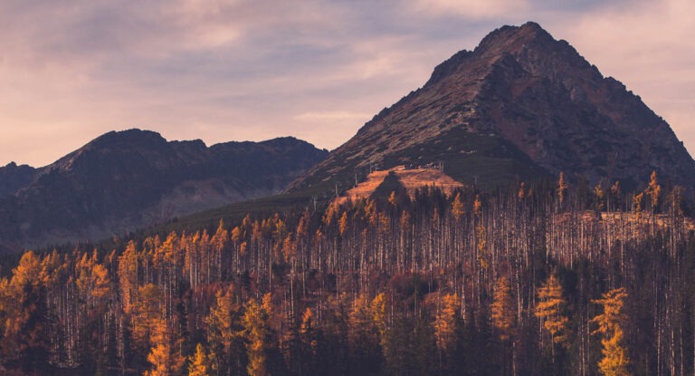 autumn-colors-on-forest-over-lake-in-high-mountain-P3YYGAV-cropped